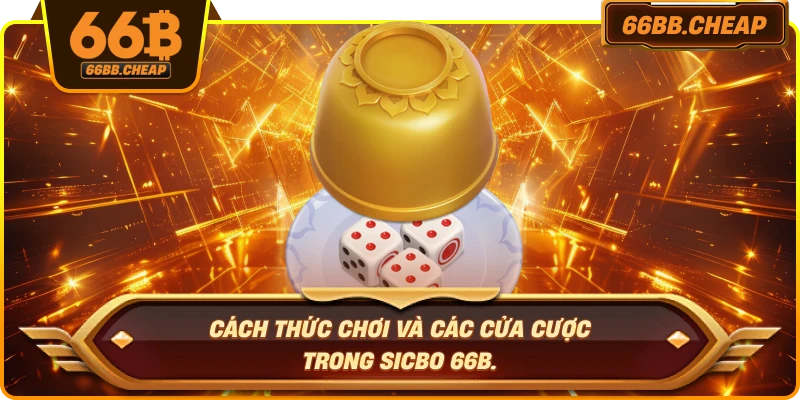 Cách thức chơi và các cửa cược trong Sicbo 66B.