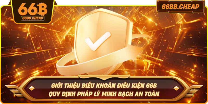 Giới thiệu điều khoản điều kiện 66B – Quy định pháp lý minh bạch an toàn 